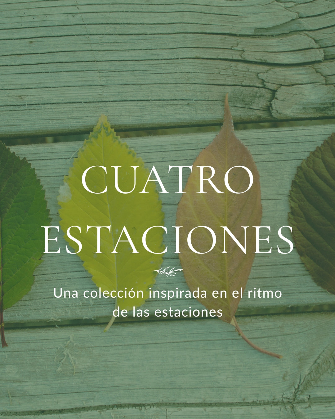 Cuatro Estaciones