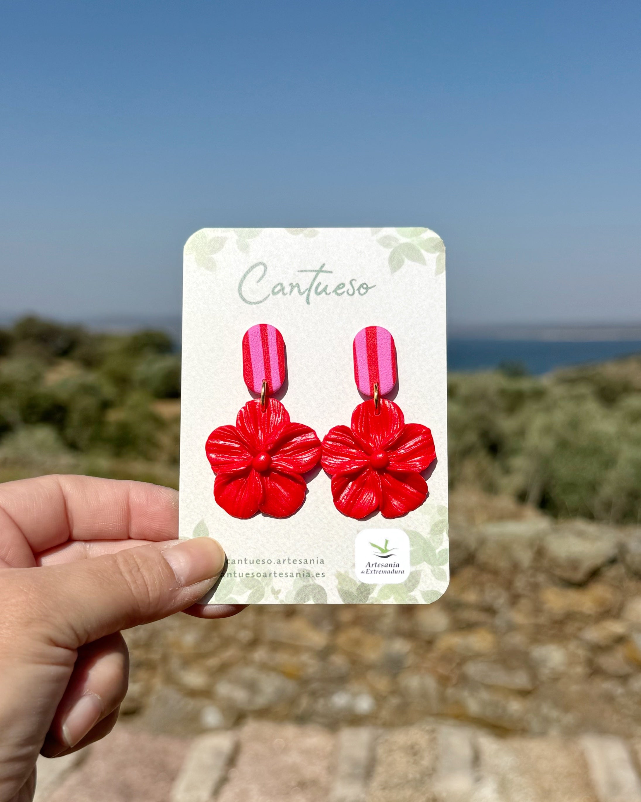Pendientes Granadilla Rayas