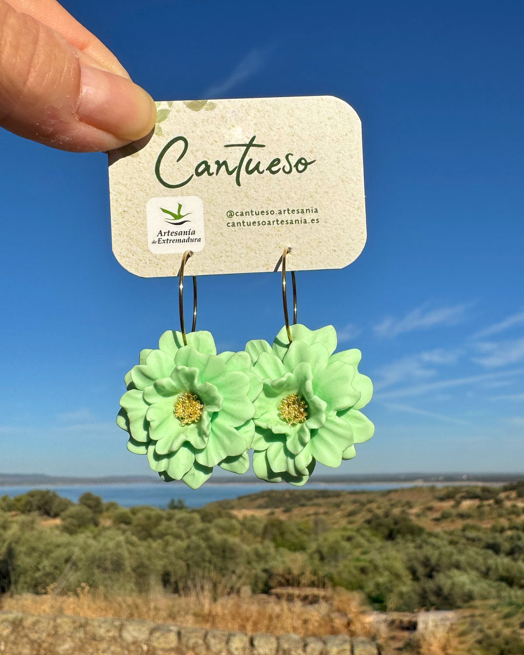Pendientes Aliseda