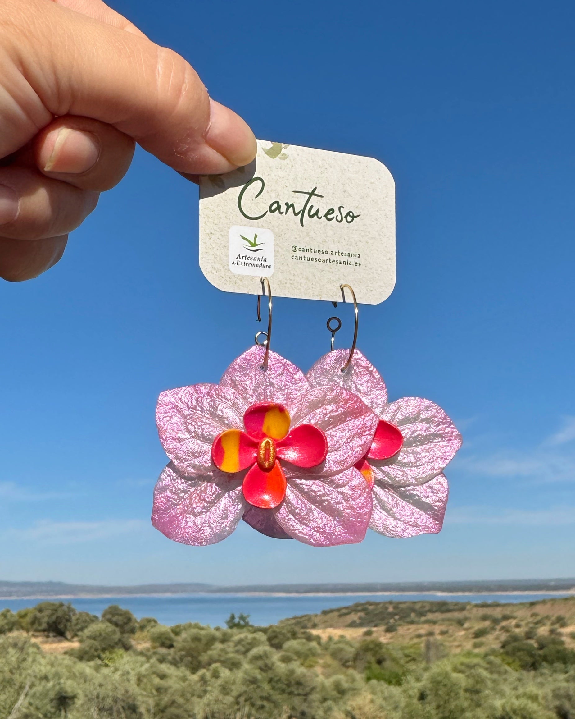 Pendientes Orquídea Maxi Tornasol