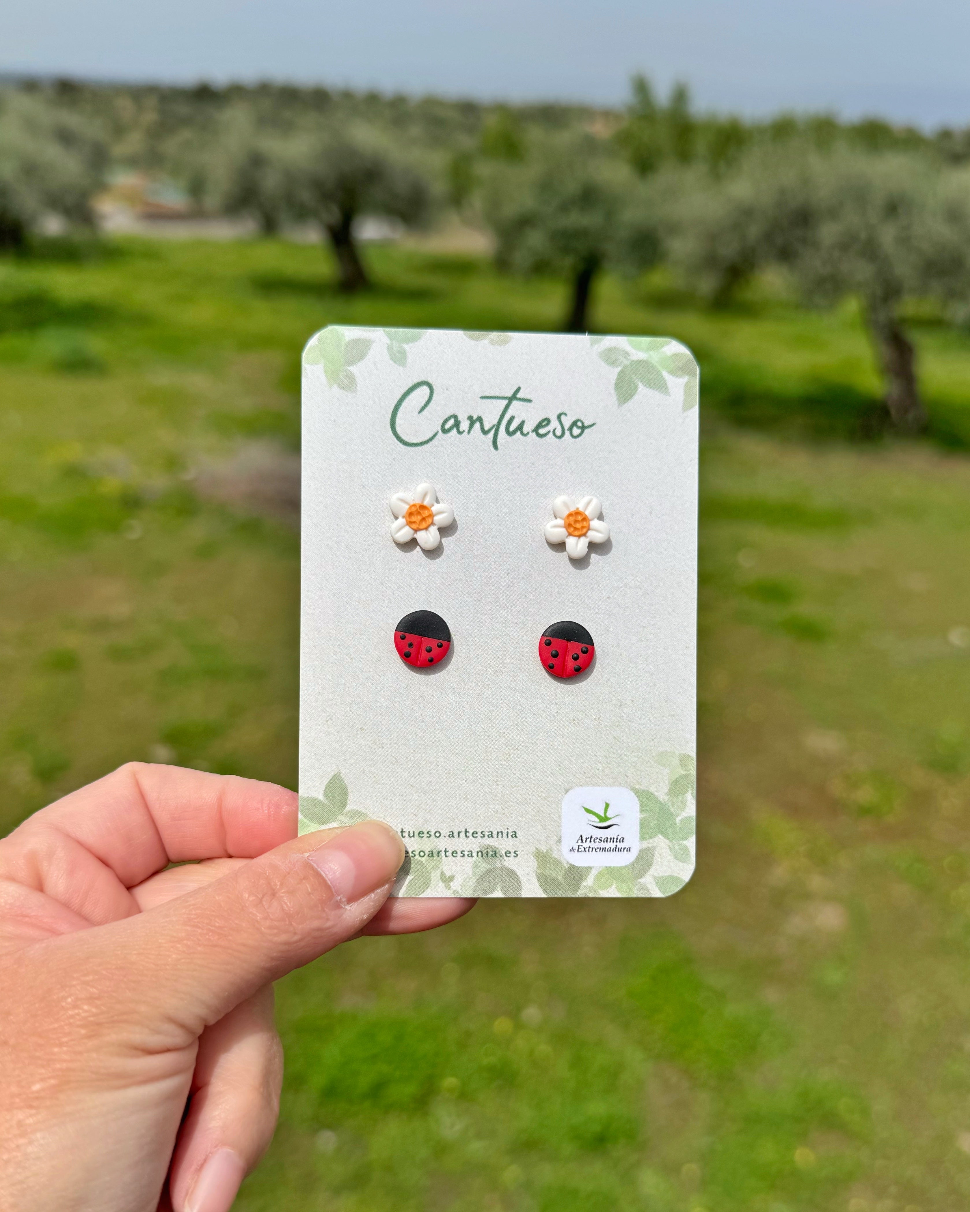 Pack de pendientes botón tamaño pequeño de margarita y mariquita hechos a mano en arcilla polimérica.