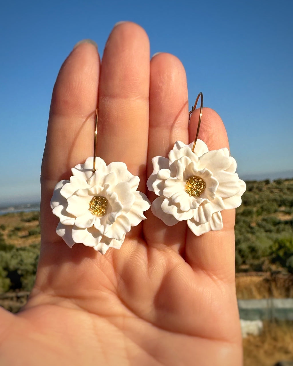Pendientes Aliseda