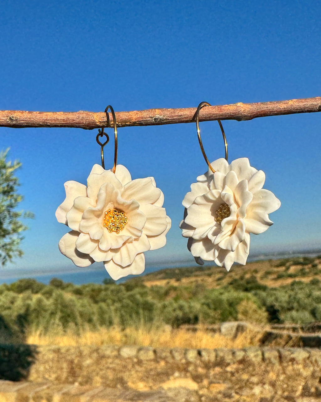 Pendientes Aliseda