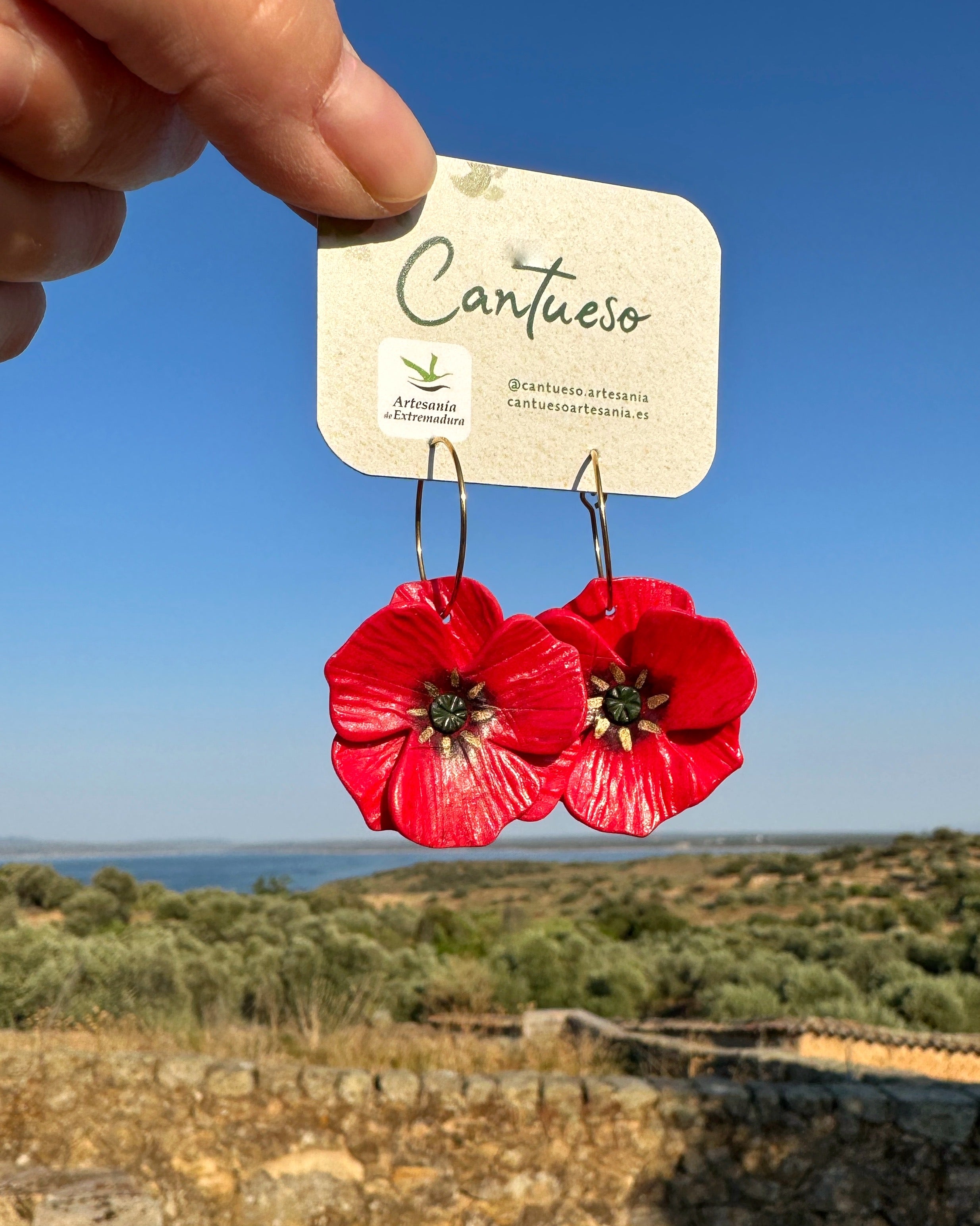 Pendientes Amapola aro