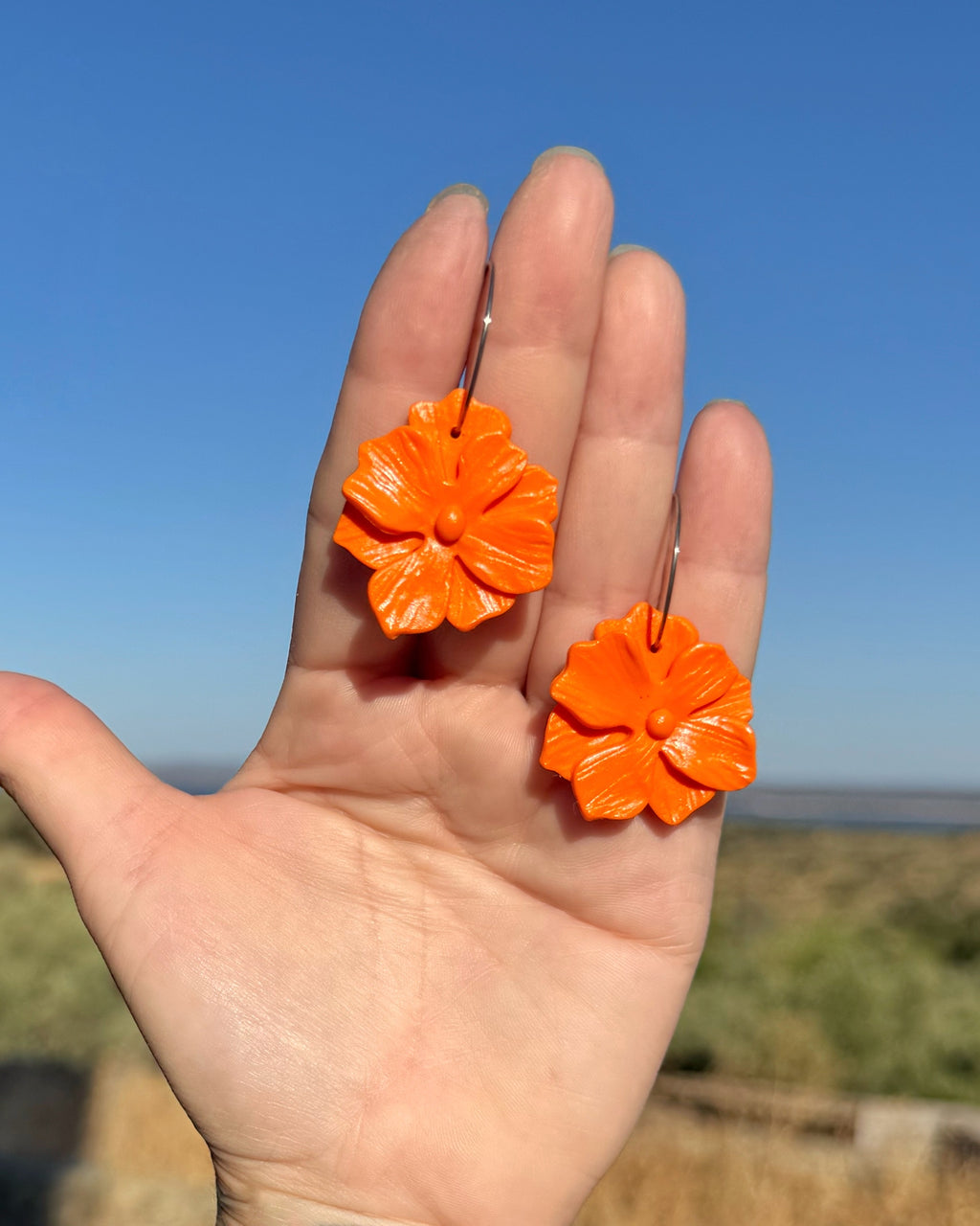 Pendientes Trevejo