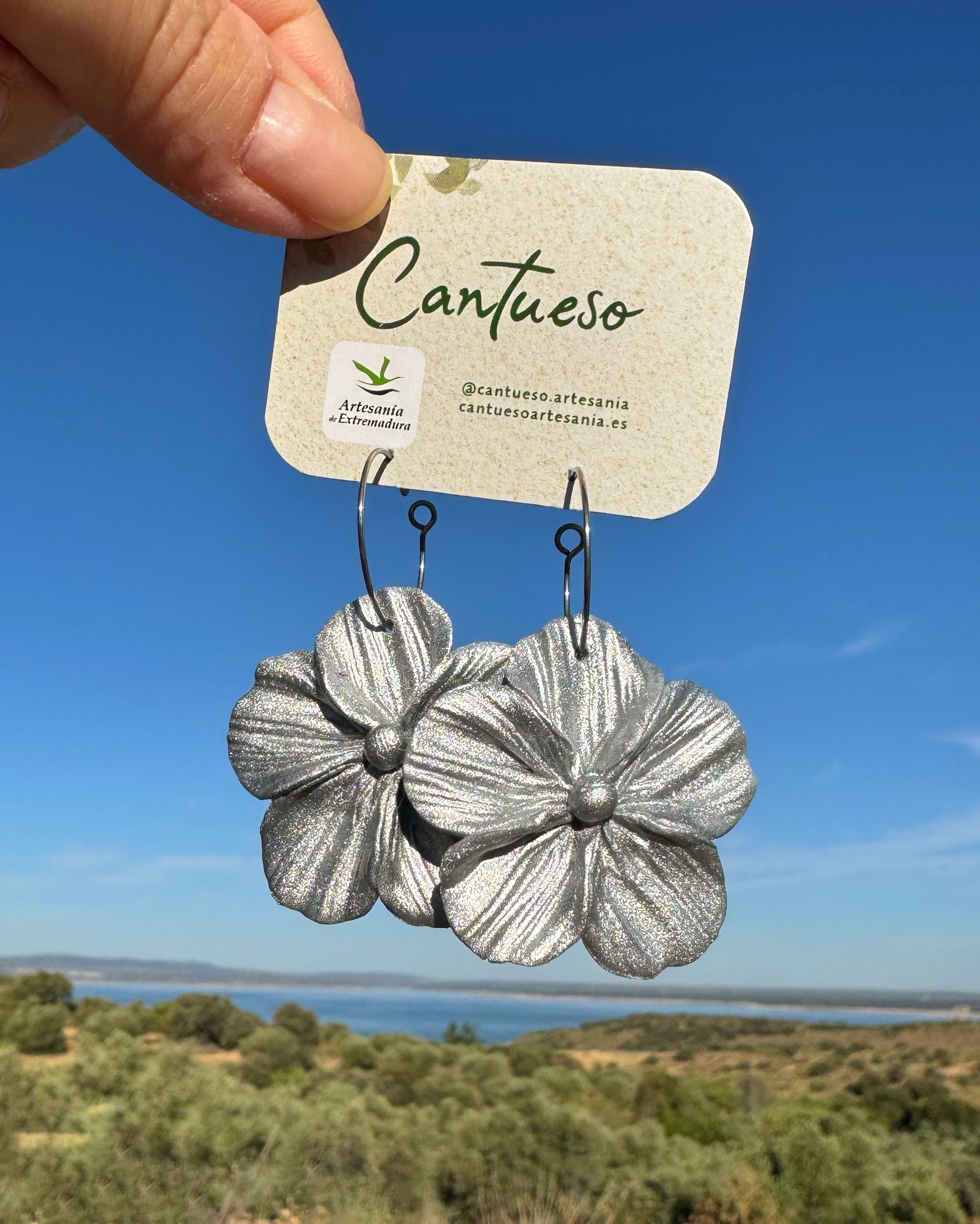 Pendientes Granadilla diseño flor plateada detalle