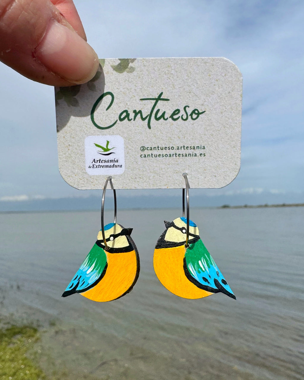 Pendientes Herrerillos aro