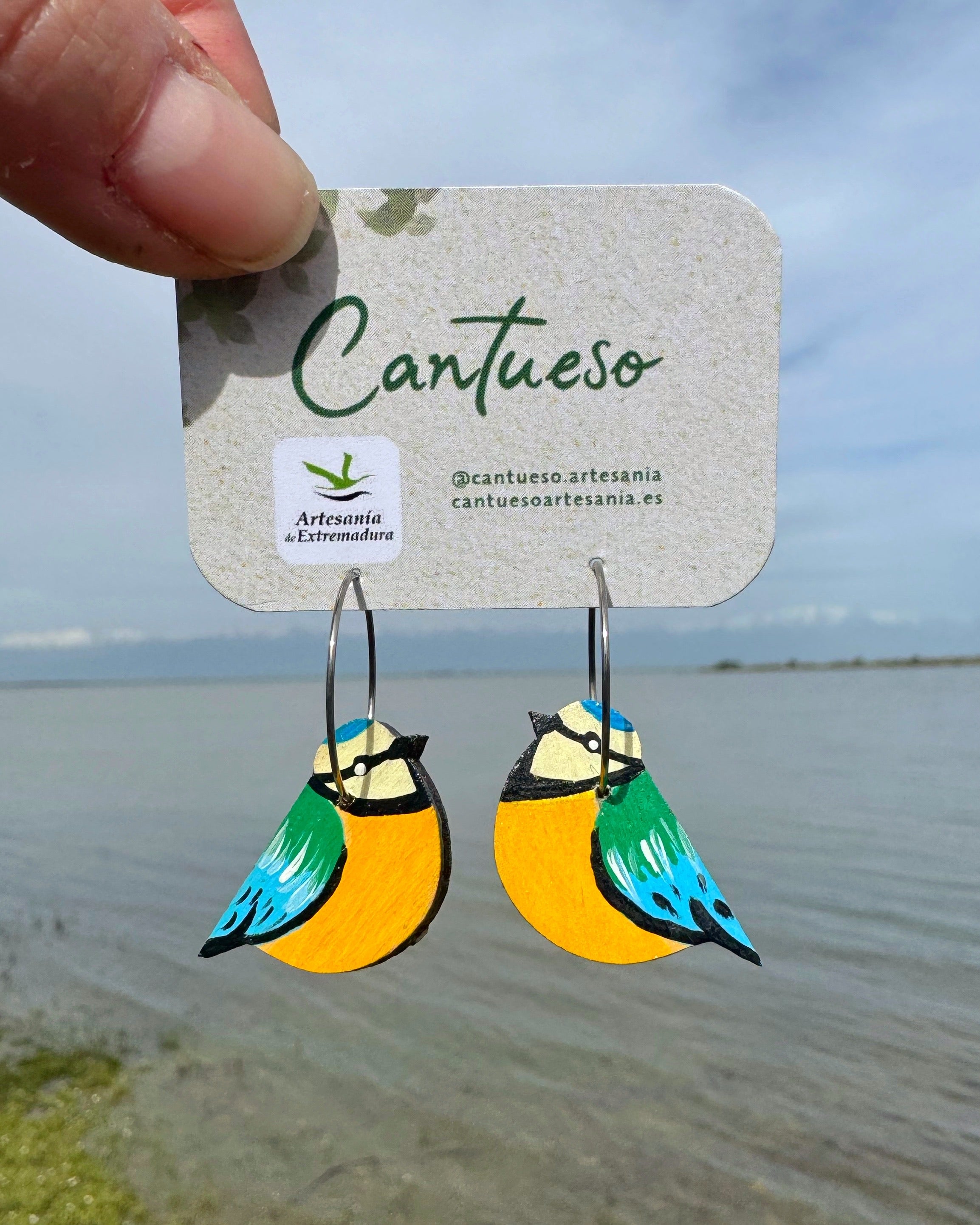 Pendientes Herrerillos aro
