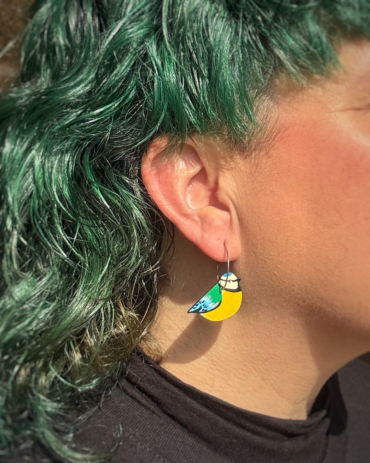 Pendientes Herrerillos aro