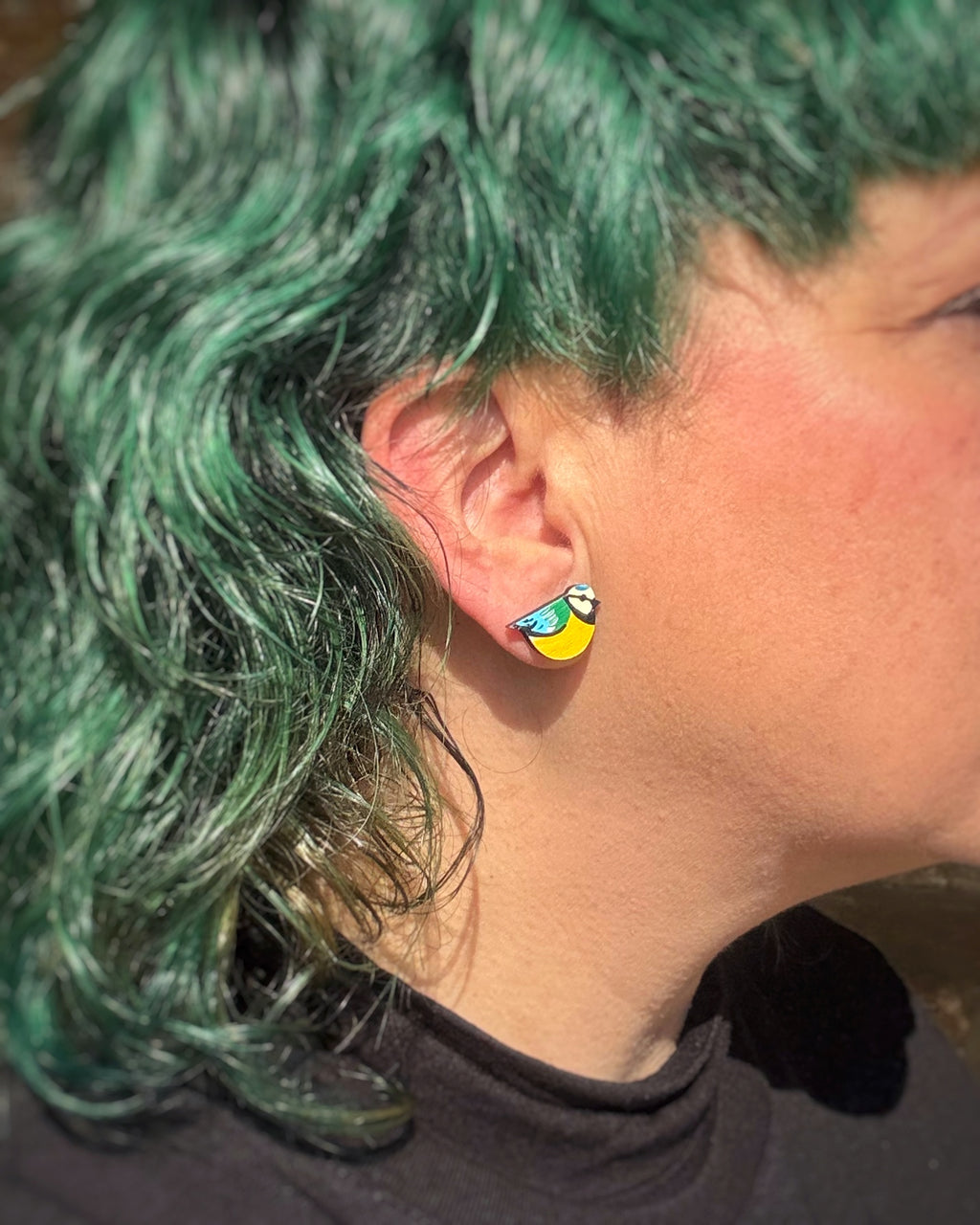 Pendientes Herrerillo pintados sobre madera puestos