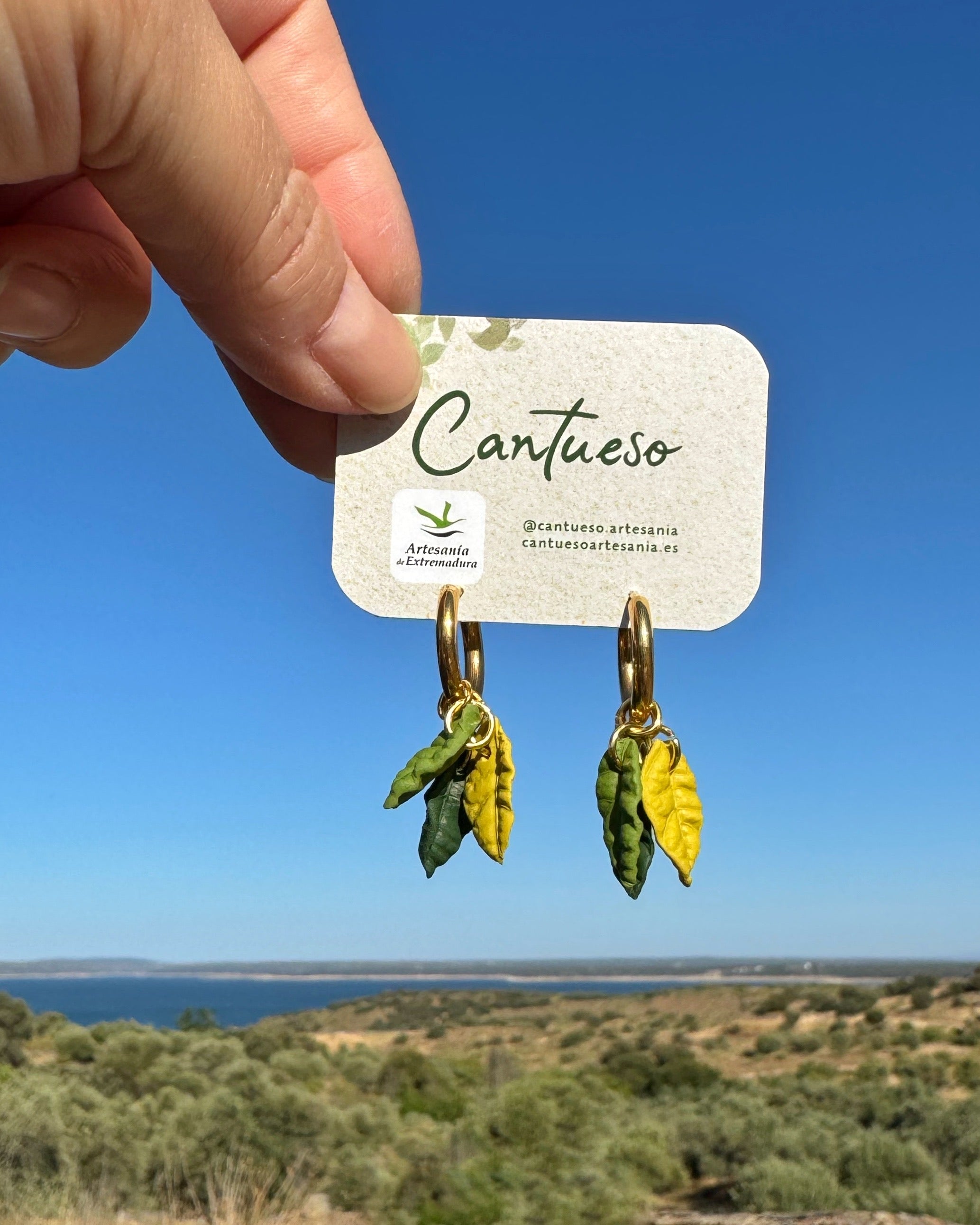 Pendientes Hojas Mini
