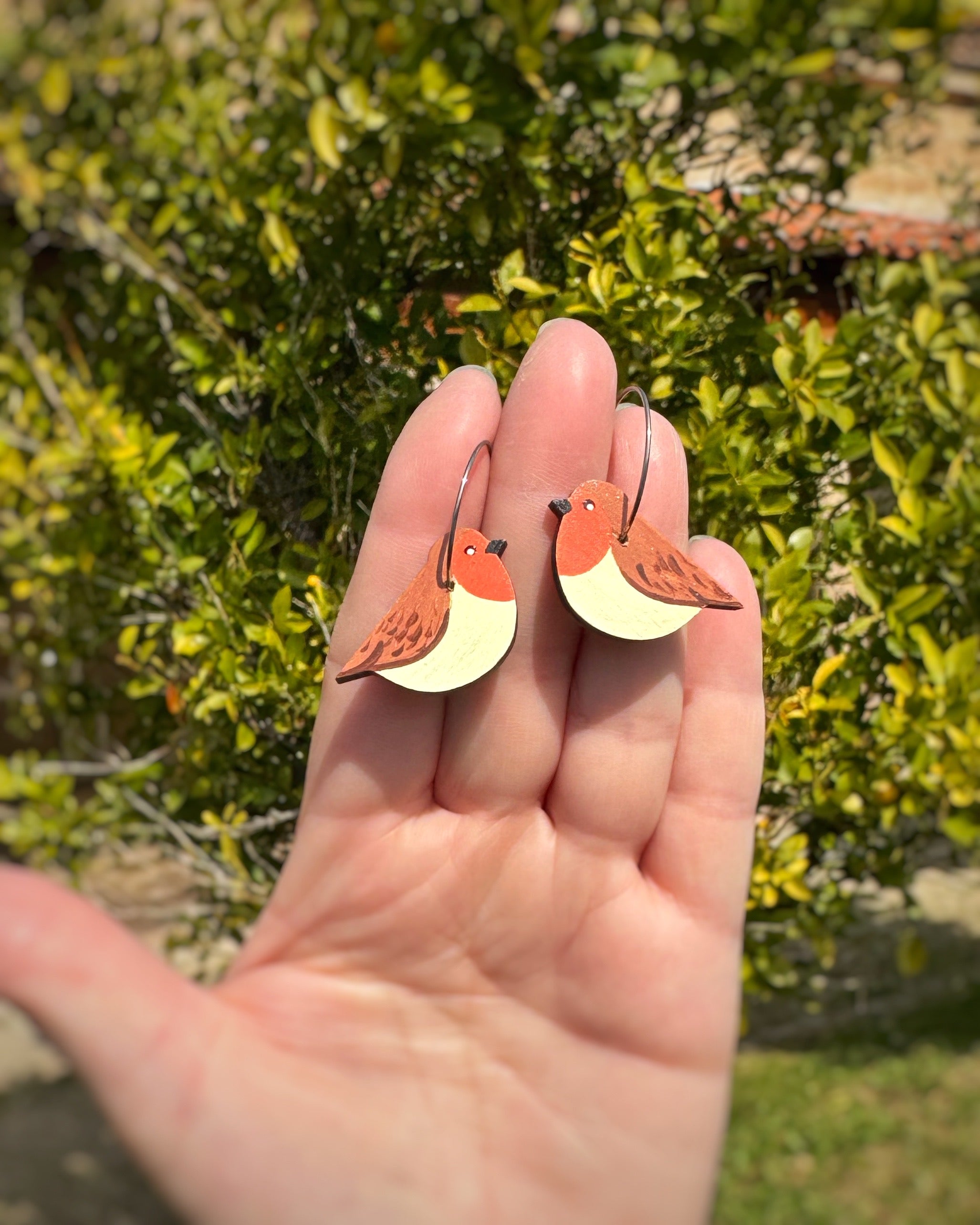Pendientes Petirrojo aro